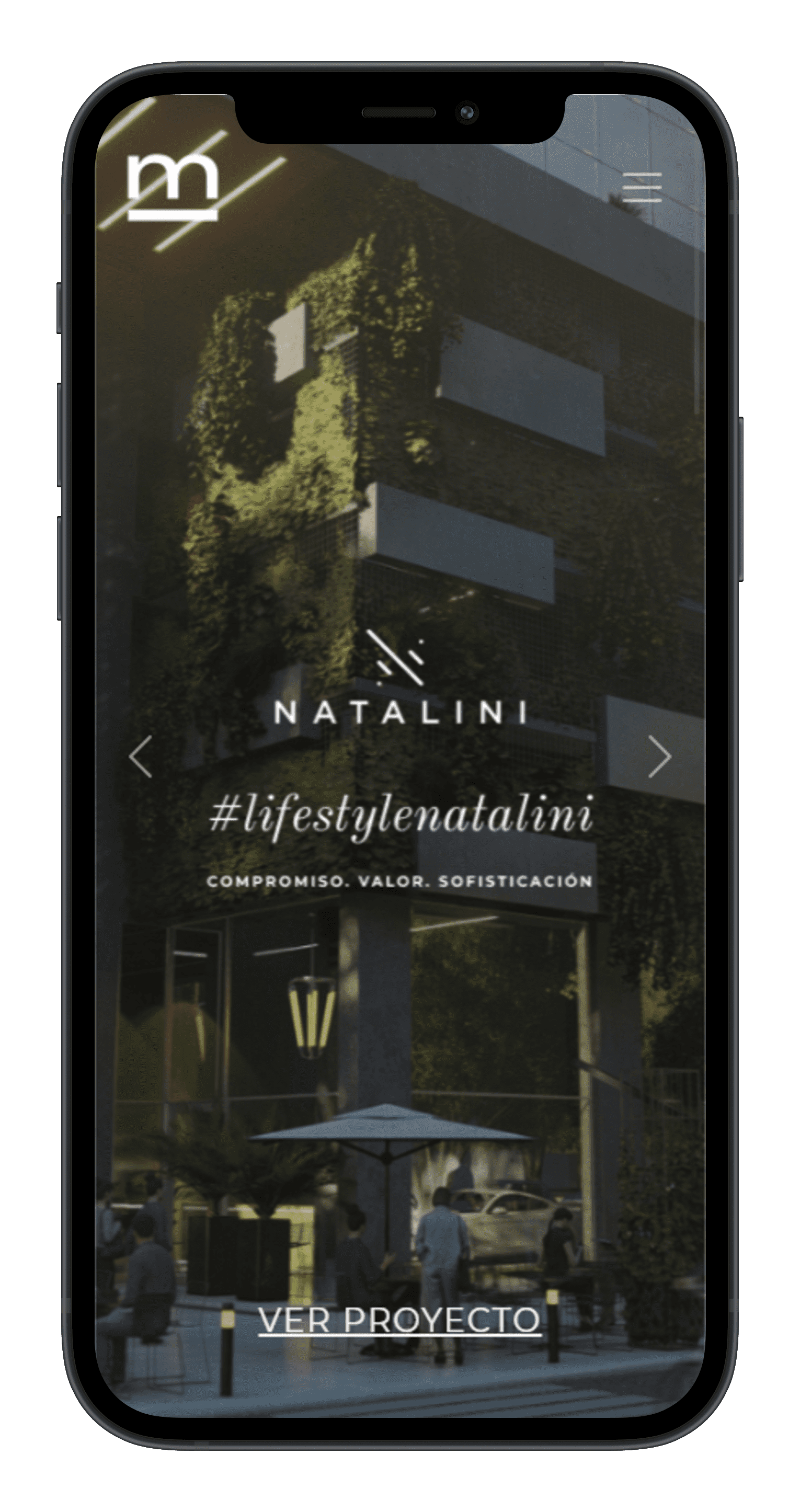 Project mobile view
