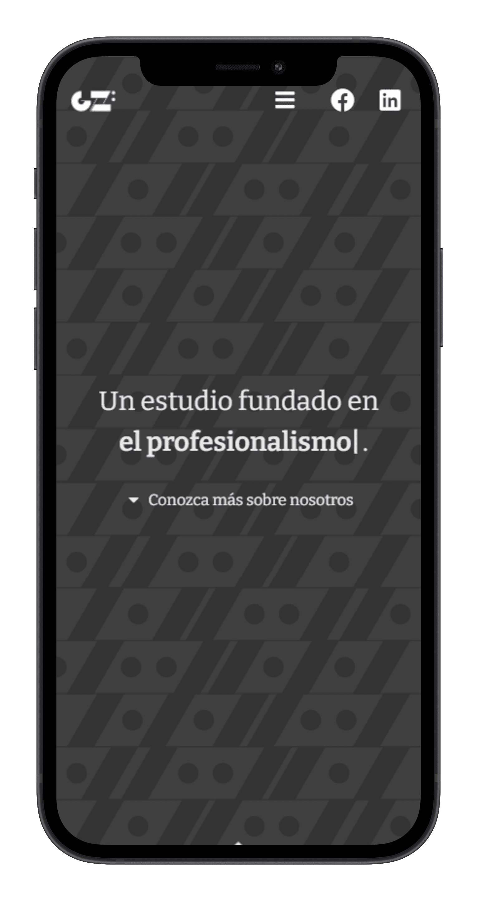 Project mobile view